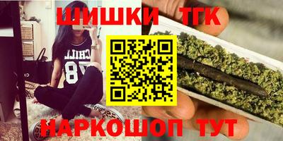 амф Кингисепп