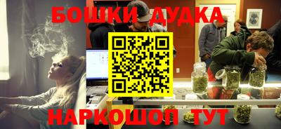 амф Кингисепп