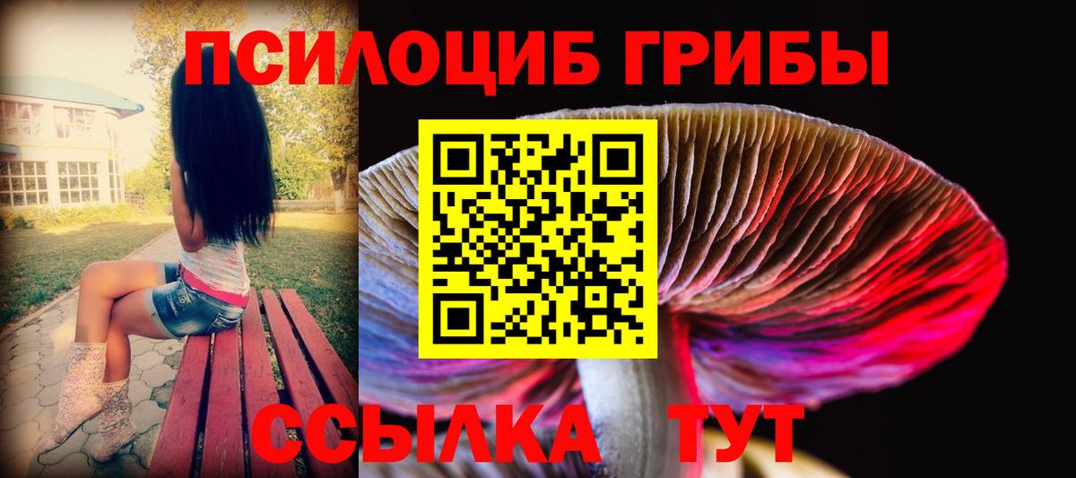 Красноармейск  Псилоцибиновые грибы Psilocybine cubensis  Вход с VPN  Галлюциногенные грибы Psilocybine cubensis 